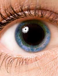 What does it mean when someone looks at you with dilated pupils?