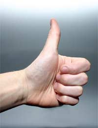 Understanding Hand Gestures
